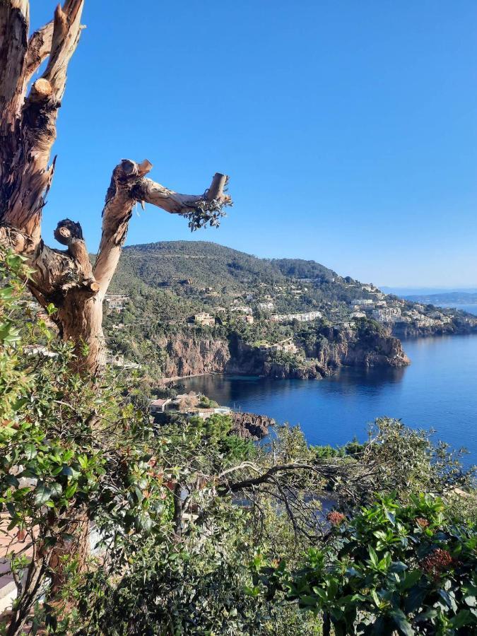 Magic Mer Saint-Raphaël Exteriör bild
