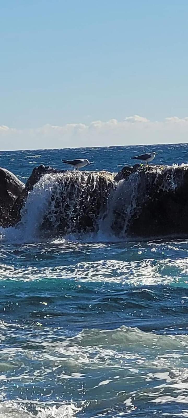 Magic Mer Saint-Raphaël Exteriör bild